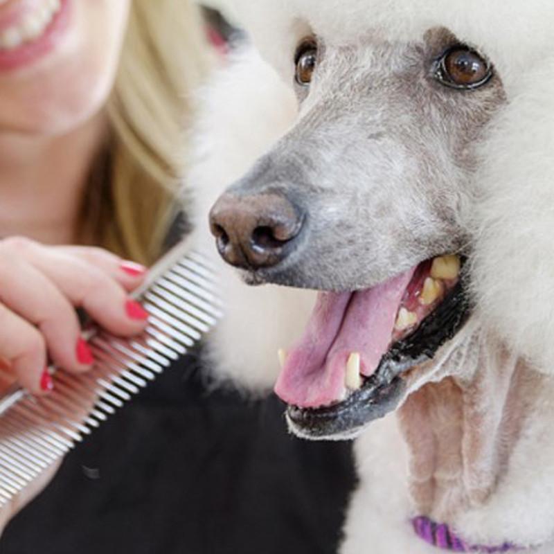 Peine metálico para mascotas Peine metálico para mascotas