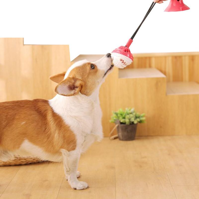 Pelota de goma con ventosa y cuerda para perros Pelota de goma con ventosa y cuerda para perros