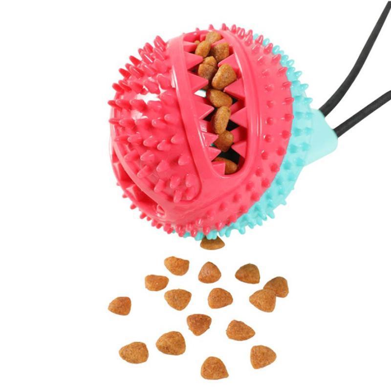 Pelota de goma con ventosa y cuerda para perros Pelota de goma con ventosa y cuerda para perros