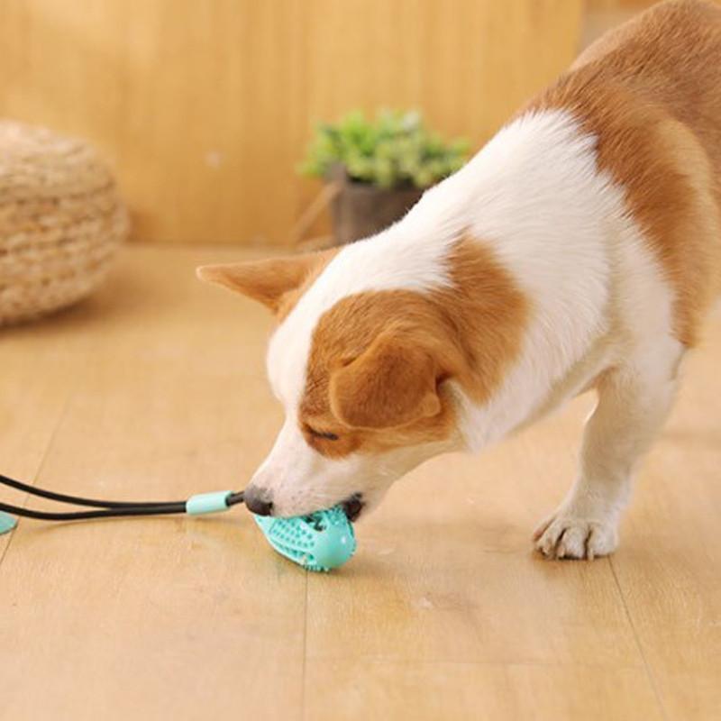 Pelota de goma con ventosa y cuerda para perros Pelota de goma con ventosa y cuerda para perros
