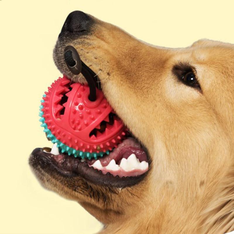 Pelota de goma con cuerda juguete para perros Pelota de goma con cuerda juguete para perros