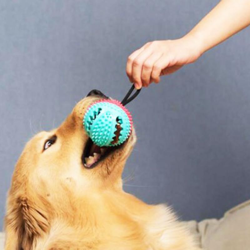 Pelota de goma con cuerda juguete para perros Pelota de goma con cuerda juguete para perros