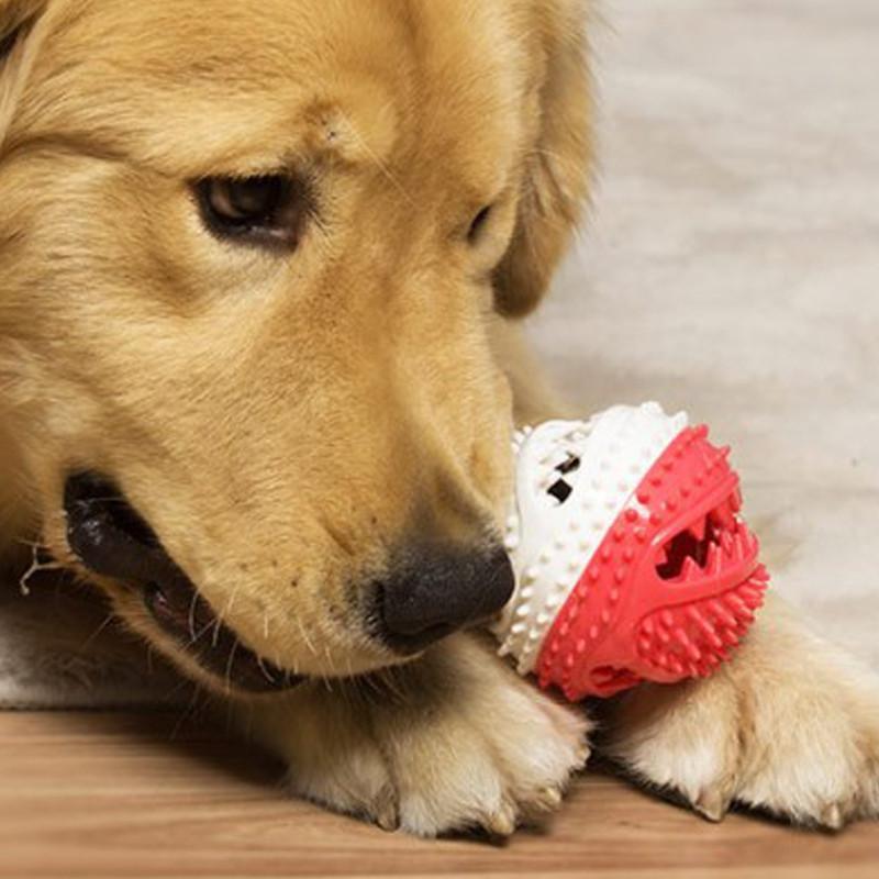 Pelota de goma con cuerda juguete para perros Pelota de goma con cuerda juguete para perros